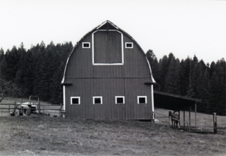 Photograph of the Ed Soncarty Barn