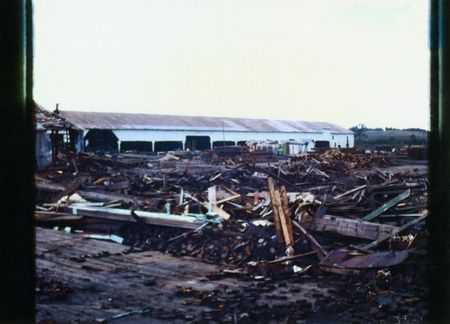 Photograph after the green chain is gone with the dry sheds in the background.