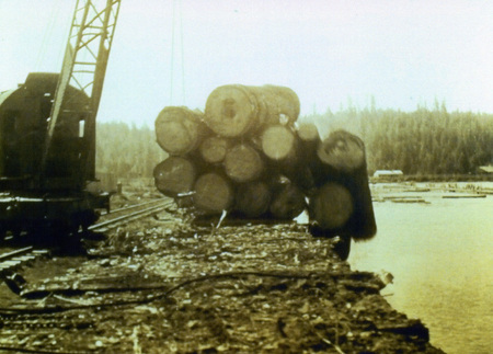 Photograph from slide of a pile of logs at the edge of the Potlatch Mill pond.