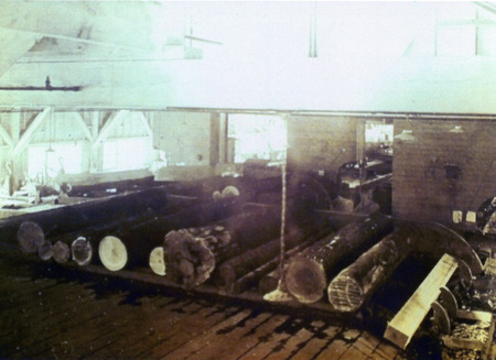 Photograph from slide of logs moving on a conveyor belt in the Potlatch Mill.