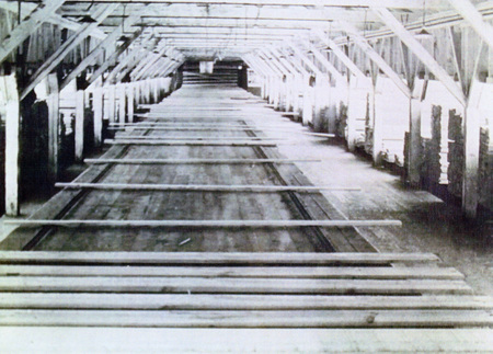 Photograph from slide of lumber on the green chain at the Potlatch Mill.