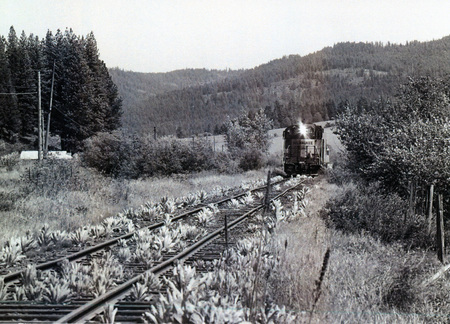 Photograph of the WI&M at Harvard. Ed Austin Photos.