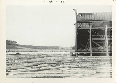 Logs floating in the log pone next to a grassy hill.