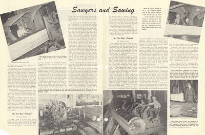 An article about the processes and training for sawmill activities.