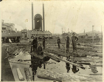 Employees on logs with long sticks to maneuver around the pond.