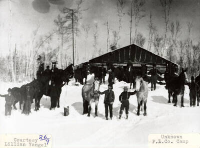 A group of men can be seen standing with horses at a PLC camp.