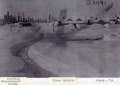 A photograph of homes in Elk River, ID buried in several feet of snow.