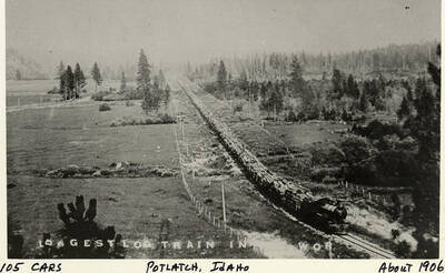 The longest log train in the world of 105 cars in Potlatch, Idaho.