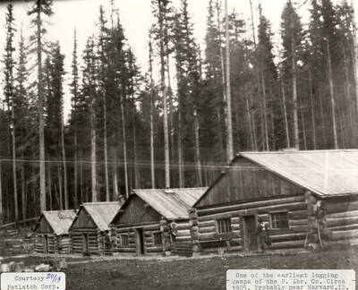 View of one of the earliest PLC logging camps, which is located near Harvard, Idaho. A man can be seen walking in front of the log cabins.