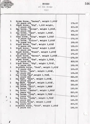 A table with the type, name, weight, and age of the horses at Elk River.
