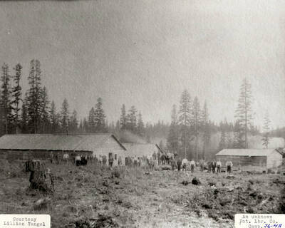 A group of loggers standing outside a few log cabins at a PLC camp.