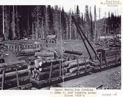 A photograph of a log landing camp and loading area of the Upper Basin in Elk River.