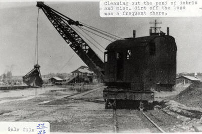 A photograph of the frequent chore of cleaning out the pond of debris and miscellaneous dirt off the logs.