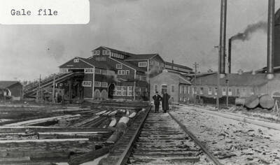 A photograph of the sawmill in Potlatch, Idaho with a view of the log pond and log slip.