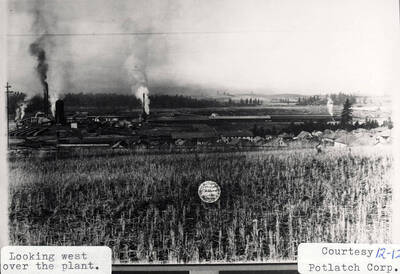 A photograph of the Potlatch Lumber Company from the East