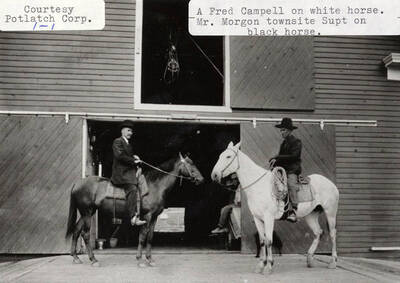 A photograph of Fred Campell on a white horse and the town site supt. Mr. Morgon on a black horse.