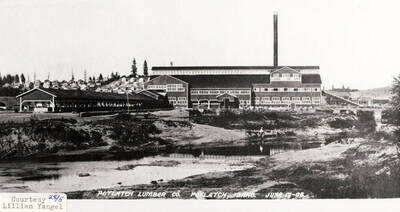 A photograph of the Potlatch Sawmill courtesy of Lillian Yangel.