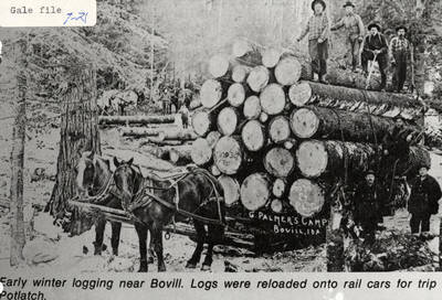 Horses pulling a load of logs in the snow near Bovill, Idaho. A few men can be seen standing on top of and next to the stack of logs. The logs were later reloaded onto rail cars when they were sent to Potlatch.