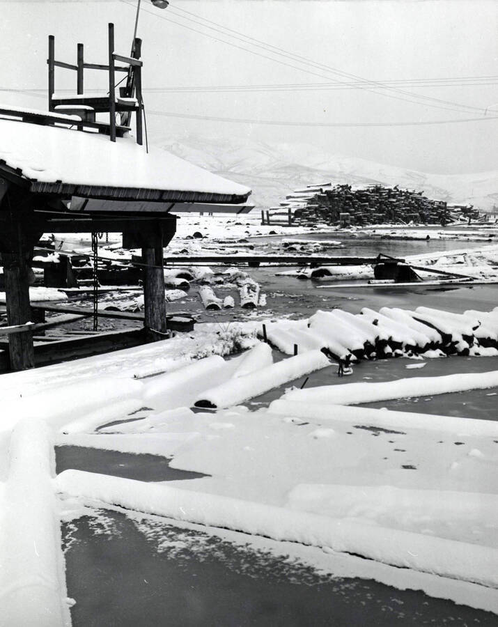 Snow-covered logs sit idle in the log pond in December 1959 (per back of the photograph). On the left hand side of the photograph is part of an unknown building, while in the background is a pile of logs.