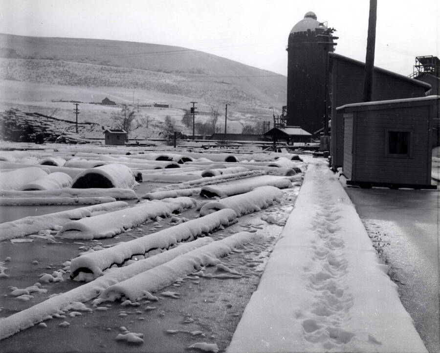 Logs sit frozen in the log pond, covered in snow. On the right hand side are buildings for the sawmill. The back of the photograph reads December 1959.