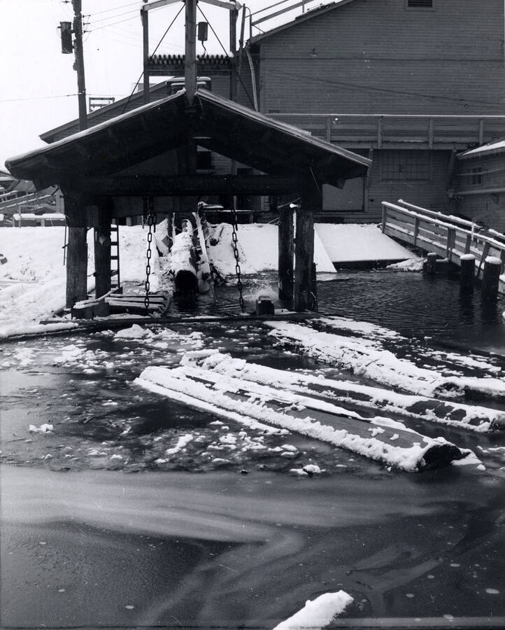 A snow-covered log is pulled into the mill, while others wait in the pond. The back of the photograph says December 1959.