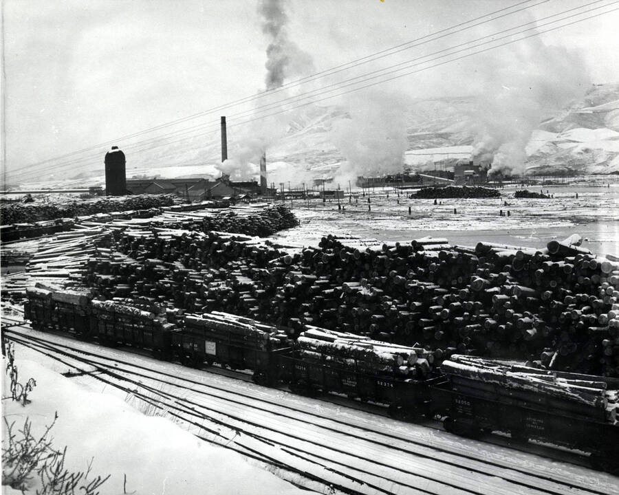 Piles of logs surround the log pond. In the front of the photograph, railcars sit on the tracks full of logs. In the background of the picture, steam and smoke rise from the sawmill. December 1959 is written on the back of the photograph.
