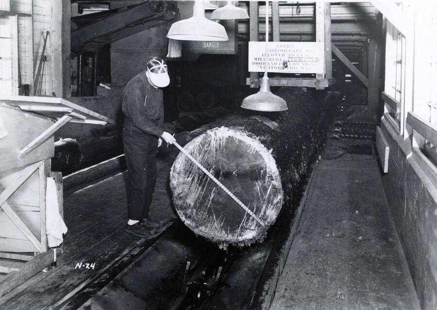 A workman measures the circumference of a log inside the mill. Description on the back of the photograph reads 'Scaling log as it enters mill from pond.'