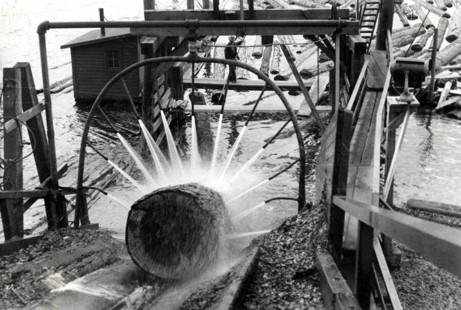 A log is sprayed with high pressured water as it enters the sawmill.