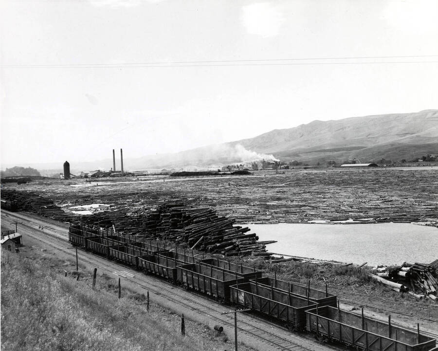 Looking out over the log pond. In the foreground sit empty railcars. Between them and the pond are stacks of logs.