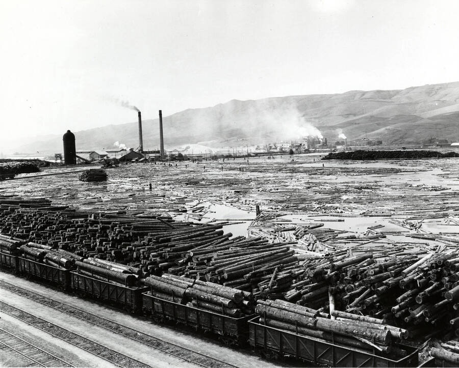 View of the log pond, logs, and railcars. Loaded railcars sit, waiting to unload while logs are waiting to be sorted and put into the pond. In the background is the mill.