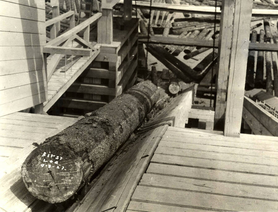 A log comes into the mill. Written on the photograph is 'First Log, 9/8/1927.'