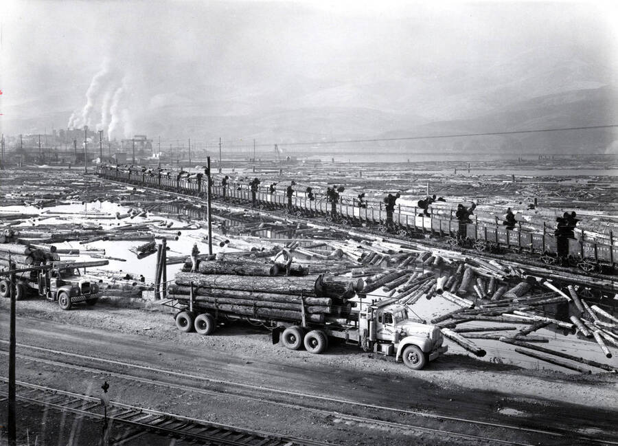 On a semi-trailer full of logs, a man stands working with them. Behind that truck is another full logs. In the center of the photograph, railcars sit on tracks full of logs waiting to unload into the log pond. In upper left, the mill produces smoke and/or steam into the air. On the back of the photograph, it is stamped with 'Photographs by Richards Studios. Photographers since 1898 734 Pacific Ave. MA 7-910, Tacoma, WA 98402.'