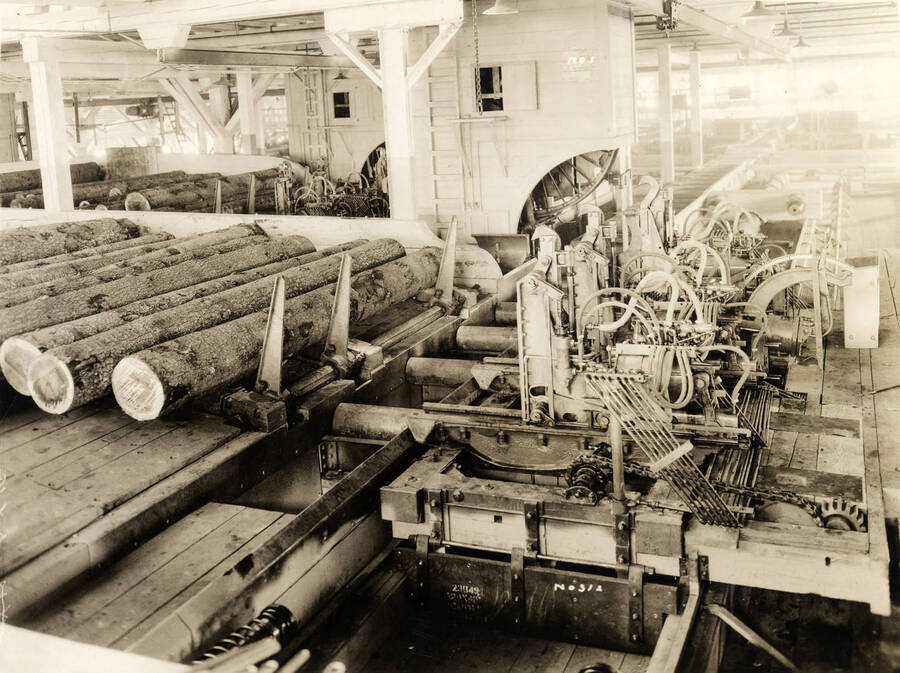 Logs being held back before rolling on to a rolling conveyor belt towards a saw. Written on the photograph is 'No. 312.'