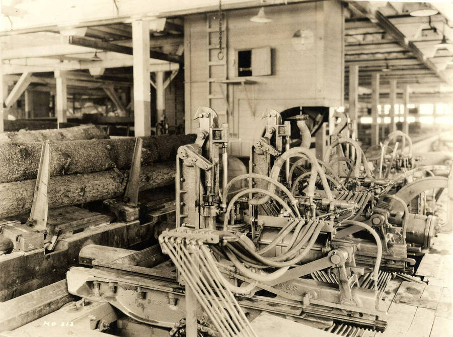 Logs being held back before rolling on to a rolling conveyor belt towards a saw. Written on the photograph is 'No. 313.'