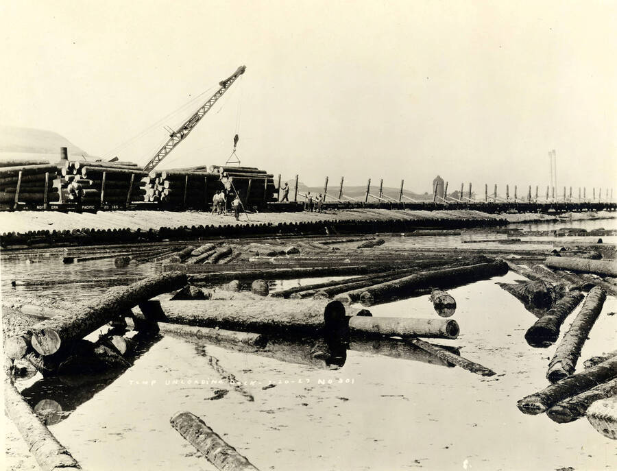 A crane works to unload logs from flatcars into the log pond at the Lewiston Mill. Men stand waiting to help guide the logs into the pond. Written on the photograph is 'Temp unloading docks, 7/20/1927 No. 301.'