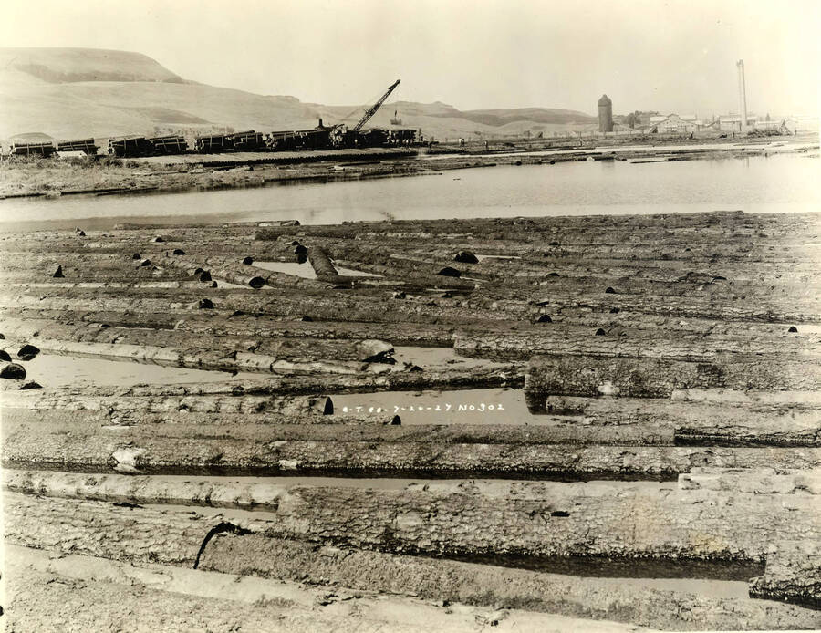 A crane works to unload logs from flatcars into the log pond at the Lewiston Mill. Photograph taken from a further distance showing more of the logs in the log pond as well as the mill in the background. Written on the photograph is 'CT CO, 7/20/1927 No. 301.'