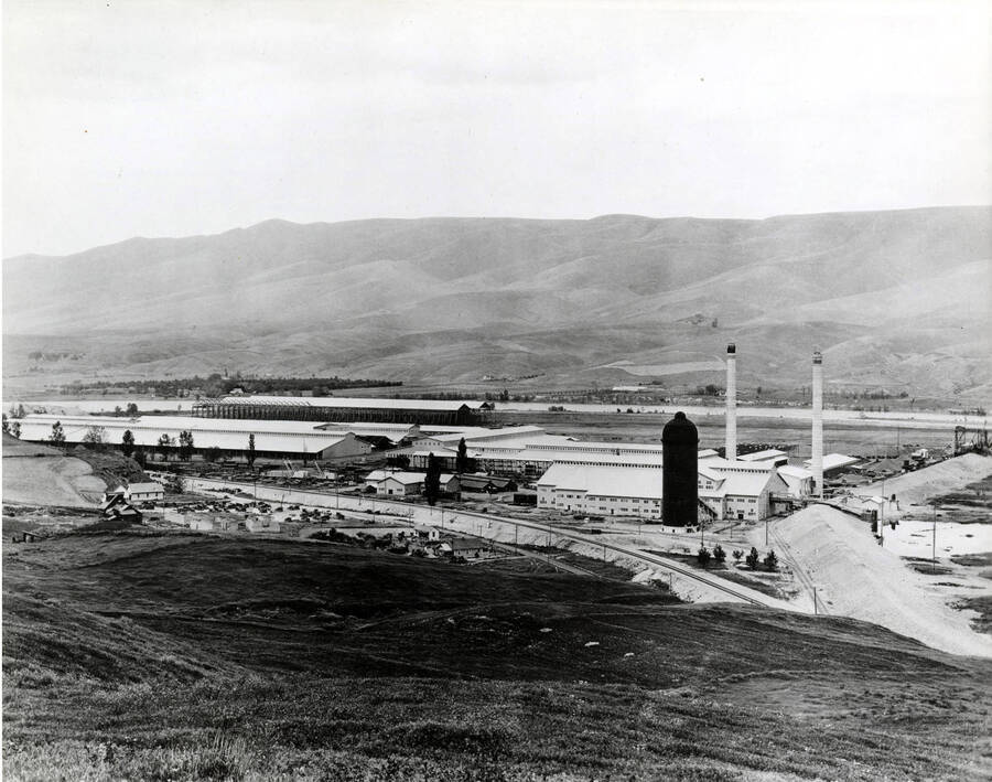 A view of Clearwater Timber Company plant. In the background of the picture is the Clearwater river.