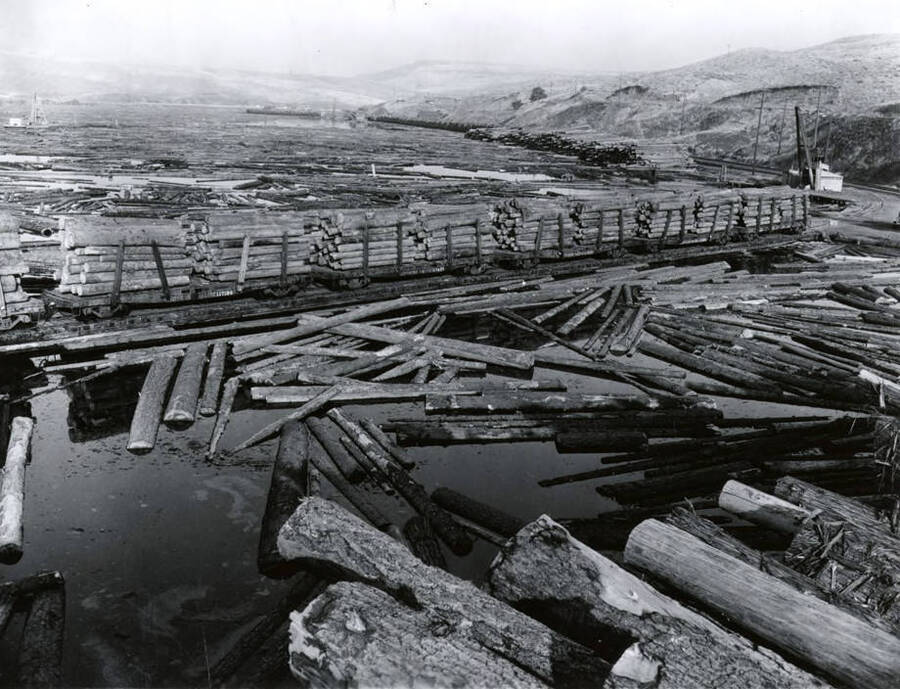 Rough logs sit on either side flatcars waiting to unload logs at the log pond. A crane sits ready at the right hand side of the picture. In the background of the picture, stacked logs sit at the edge of the pond. Note on the envelope says that this photo was taken for Doug Wilson, the Seattle AP photographer who covered the log drive.