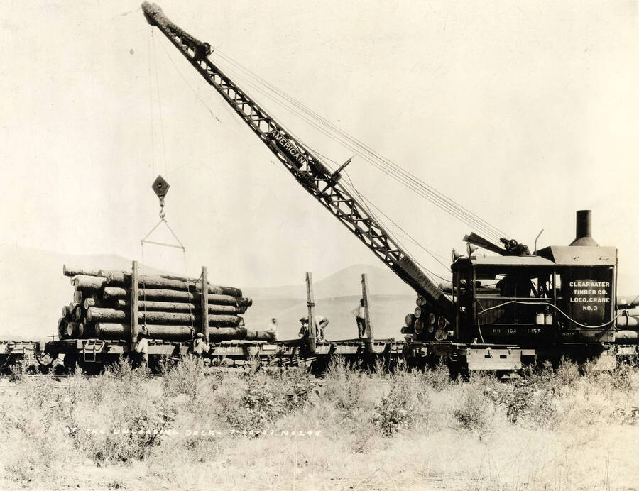 A crane works to unload logs from flatcars. The description written on the photograph says "at the unloading dock." Written on the side of the crane is "Clearwater Timber Co. Loco. Crane No. 3."