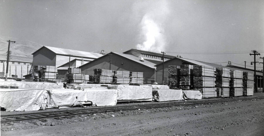 Covered and un-covered stacks of lumber are piled next to buildings. Description on the back of the photograph reads "Laminating Dept Buildings with Lock-Deck and Beams on shipping dock."