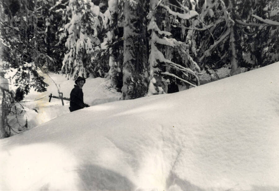 Saw pardners Lang and Jones trike out toward the next tree that is to be felled. The snow was over ten feet deep at this spot on a ridge between Washington and Breakfast creeks at Camp 27, January 27, 1943. Lang is in the center left of picture, Jones at right center almost hidden by the branches of a tree. (Description taken from board the photo is on).