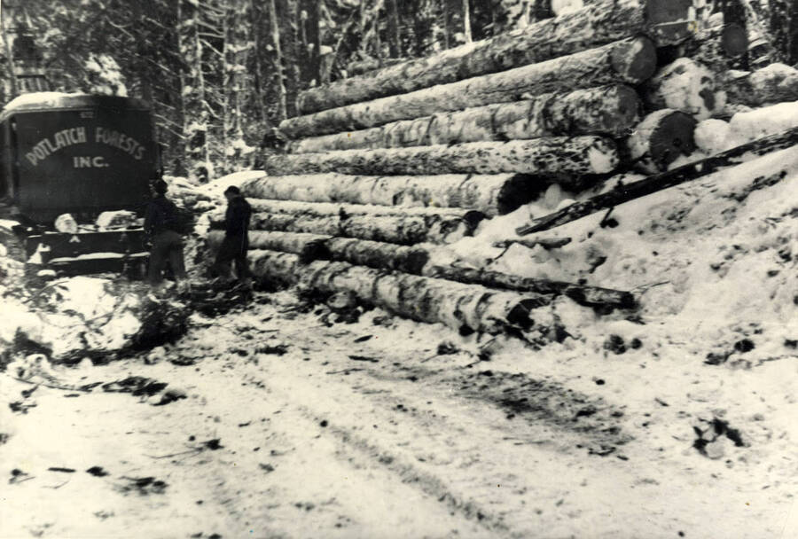 Logs decked, the big General loader moves on down the road to the next setting.' The back of the loader has 'Potlatch Forests Inc.' on it.