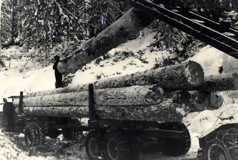 The loader carefully picks up a log from off a roadside deck and places it atop the truck that will haul them to the landing some few mills distant.'