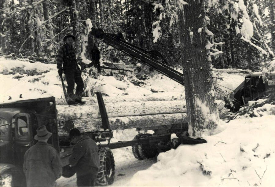 The top loader, the man who directs the loading of the trucks, has a particularly hazardous job and must be alert if he is to avoid injury. A log skidded from near the road and swung up onto the load may strike a snap and cause it to fall across the load, possibly striking the top loader, or the tons may slip, or returning empty for another log to be flipped backwards against his person with a knockout punch.'