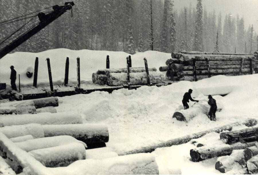 Slipping a chocker around a log at P.F.I. Camp 29 on Washington creek in late January 1943. Greatest snowfall was at this camp, but the crew stayed hard at work at got out a lot of logs. Average depth of snow was close to eleven feet.' 