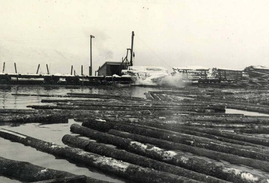 Unloading logs into the hotpond at the Lewiston mill. This section of the big 300-odd acre pond at Lewiston was kept open throughout the winter by discharging into it the exhaust hot water from a big steam turbine in the mill's power plant.'