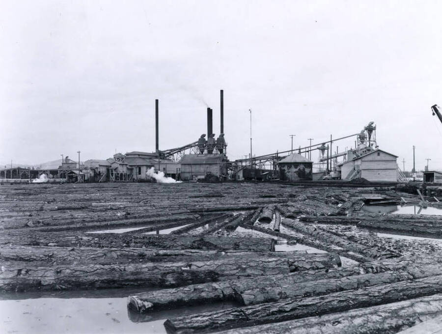 In the foreground, the log pond for the Deer Park mill. In the background is the mill itself. Written on the back of the photograph is '3/6/63 Deer Park Mill'