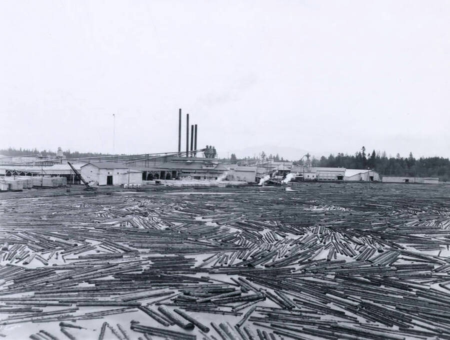 View of the log pond in the foreground and mill at Deer Park in the background. Written on the back of the photograph is '3/6/63 Deer Park Mill'