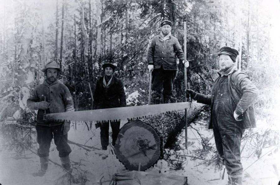 Two men hold a crosscut saw, one stands to the left, and one man stands on top of a felled tree. The description the back says 'Edward Rutledge Timber Co. Logging crew'