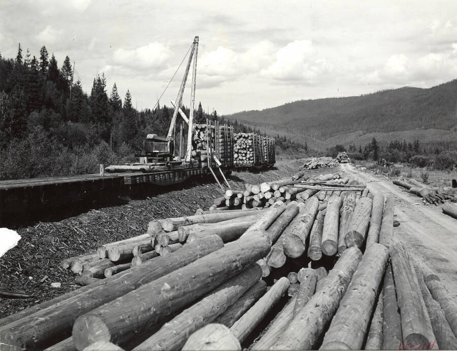 A crane loads logs until flatcars for transport. The description on the back of the photograph reads "Aug. 1941 Elk River - loading peeled pulp. Shipped to Lake State." Stamped on the back of the photograph is "U. S. Forest Service Photo by Swan"